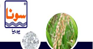 Urea fertilizer sale up by 7 pc during current year